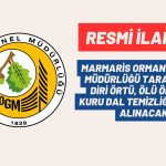 MARMARİS ORMAN İŞLETME MÜDÜRLÜĞÜ TARAFINDAN DİRİ ÖRTÜ, ÖLÜ ÖRTÜ VE KURU DAL TEMİZLİĞİ HİZMETİ ALINACAK